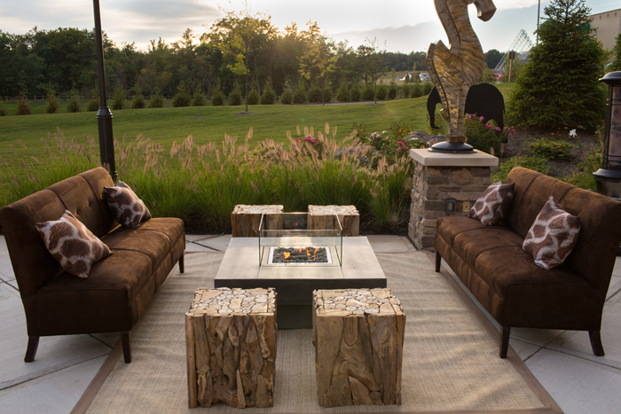 Safari Sophistication